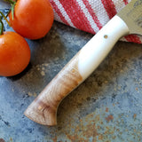NORA #1024 - 7.5 Inch Kiritsuke - CTS XHP Stainless Steel