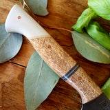 NORA #1251 - CPM-M4 Chef - Mango | Gray G10
