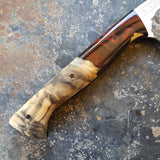 NORA #1549 - 7.5 Kiritsuke - Year of the Pig (2019)