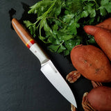 BF2019 - NORA #1612 - 3.5" Paring Knife -  Sunrise