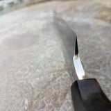 NORA #1646 - 10" Yanagiba - 01 Carbon Steel