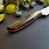NORA #1677 - 3.5" Paring Knife -  2020