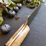 NORA #1675 - 3.5" Paring Knife -  Bones