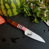 NORA #1668 - 3.5" Paring Knife -  Lil' Watermelon Sugar